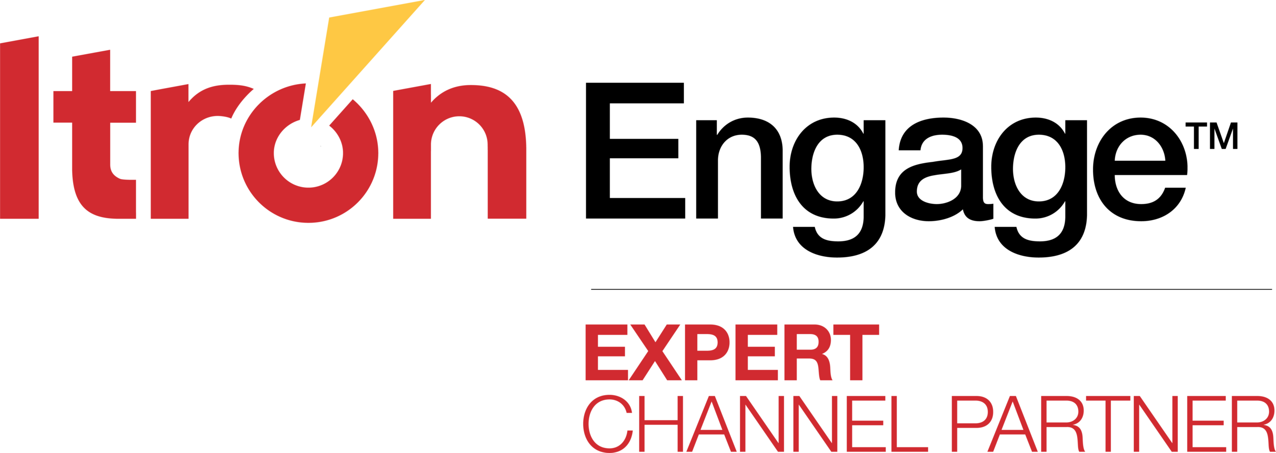 Itron Engage Expert Channel Partner logo